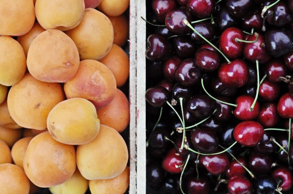 Фрукты и ягоды в истринском огороде. Где купить дешевле?